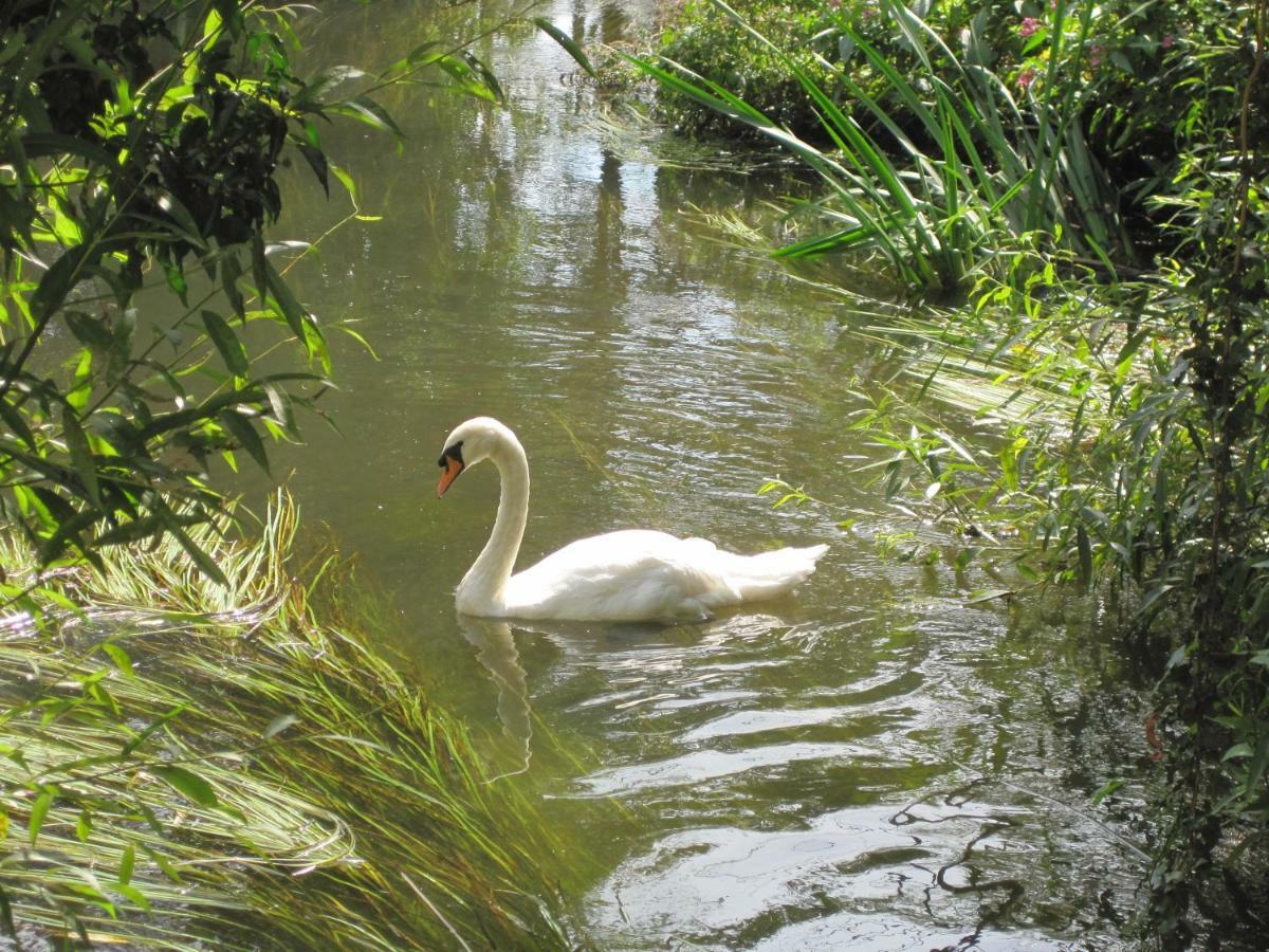 Tilford Mill Cottage Farnham  Dış mekan fotoğraf